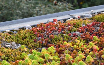 the cost of Platts Common green roof installation