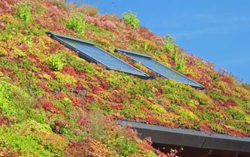 Platts Common living roof systems