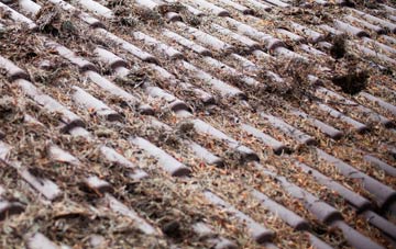 Platts Common roof cleaning companies