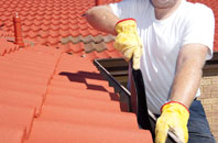 Platts Common roof cleaners